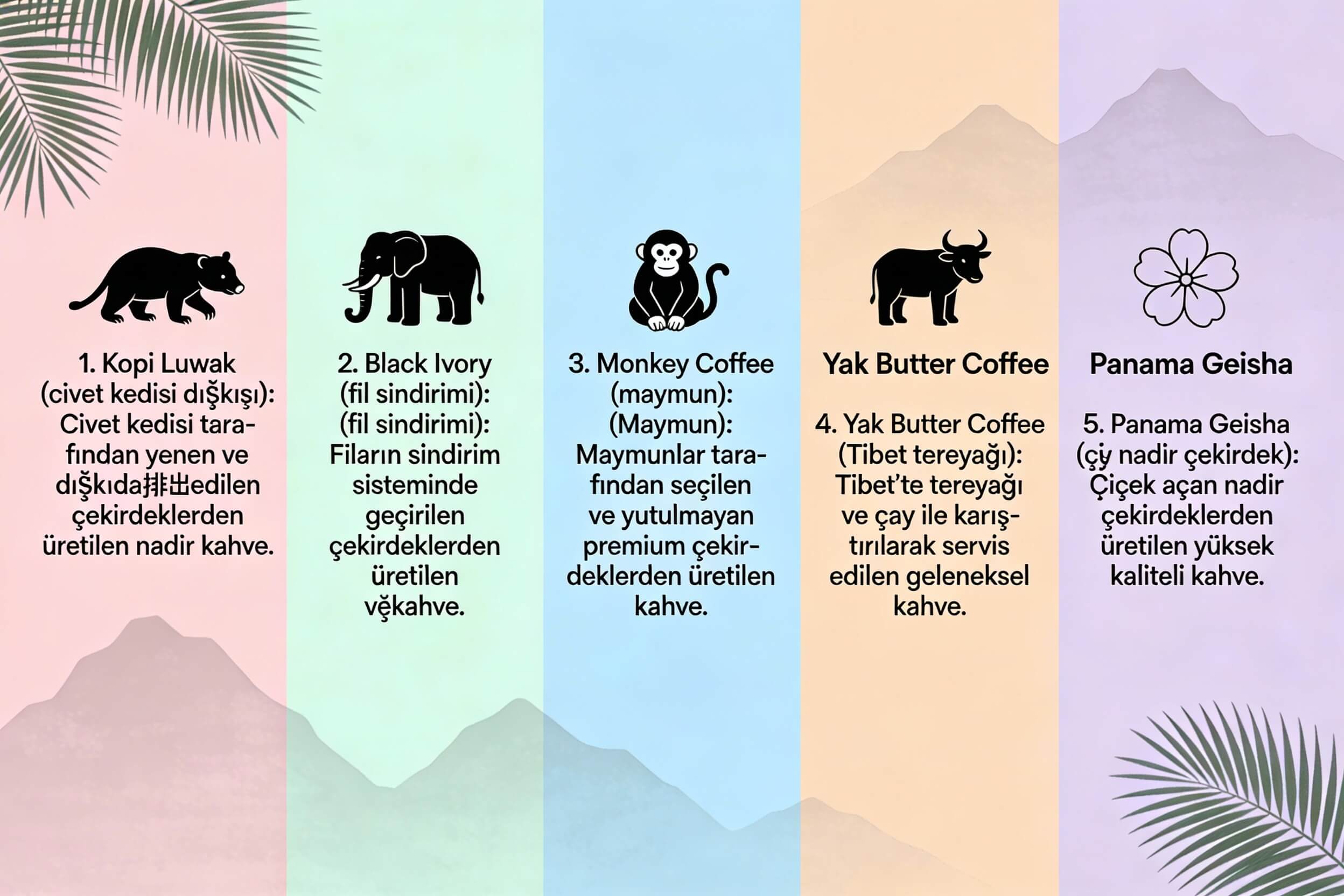 Blog Resmi