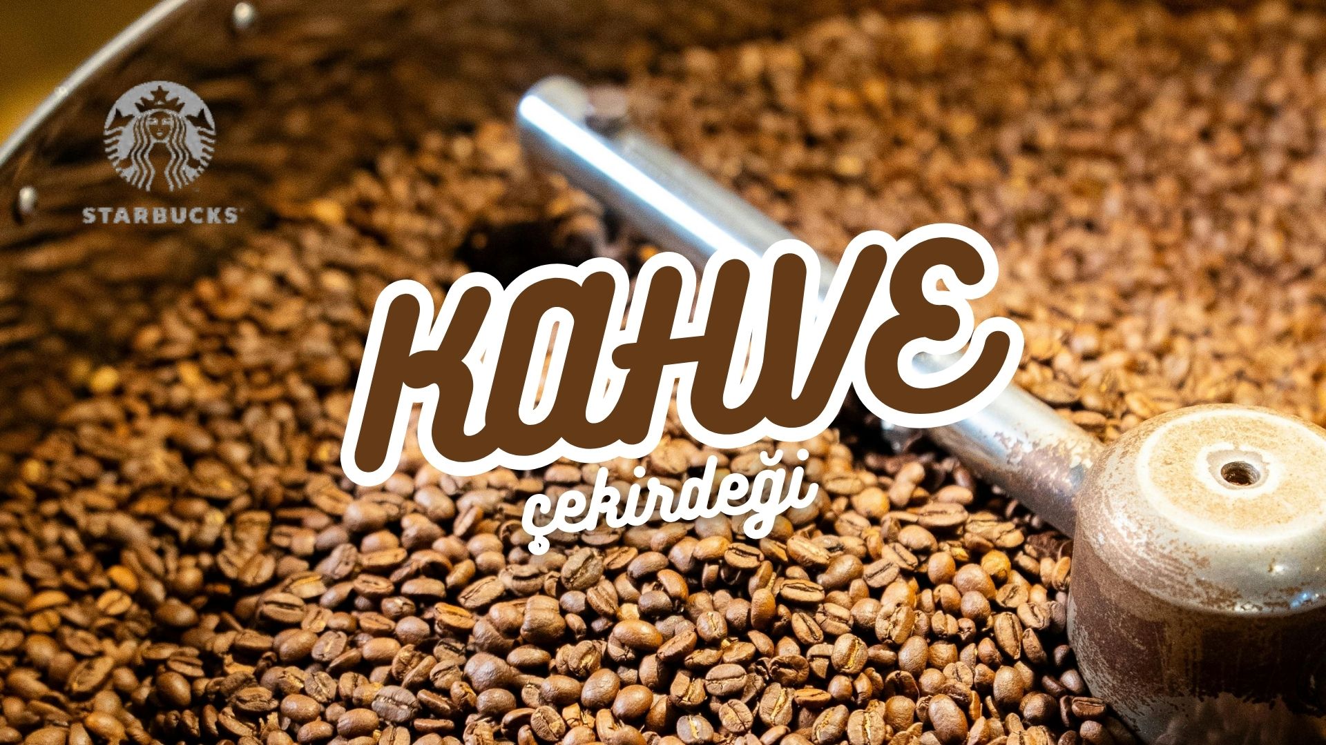 Blog Resmi